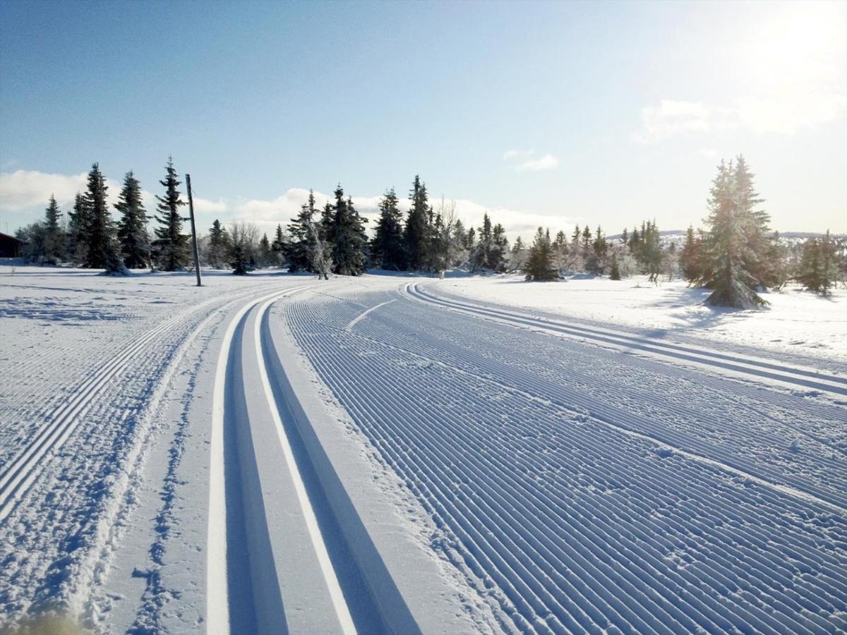 Ski And Bike-In And Out Hafjell Zewnętrze zdjęcie